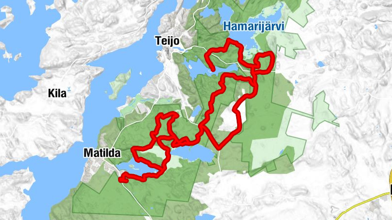 Salo - Hauenkuono
