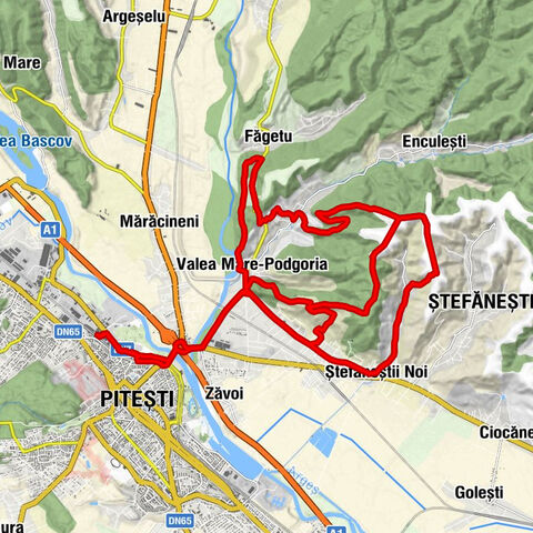 Pitești Nord - Pitești - Valea Mare-Podgoria - Festino