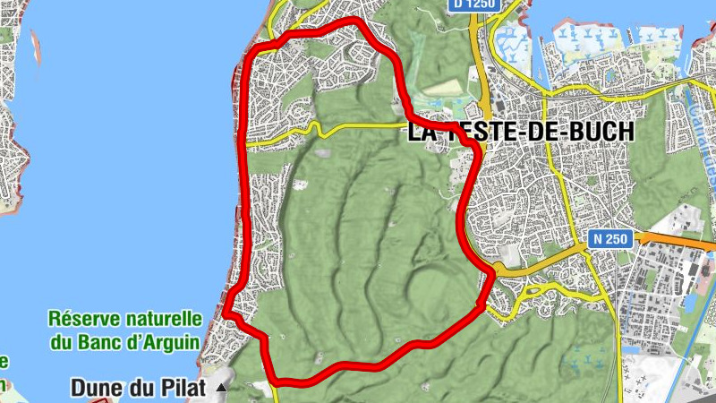 La Suite 257 - Saint-Louis des Abatilles - La Teste-de-Buch - Etche Ona
