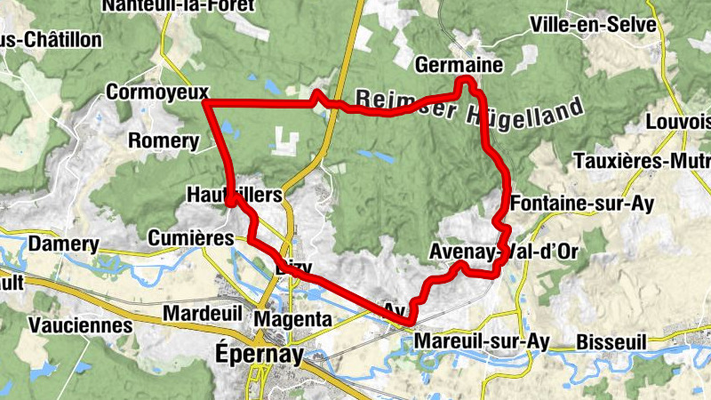 Dizy - Notre-Dame du Chêne - Église Sainte-Croix - Église Saint-Trésain