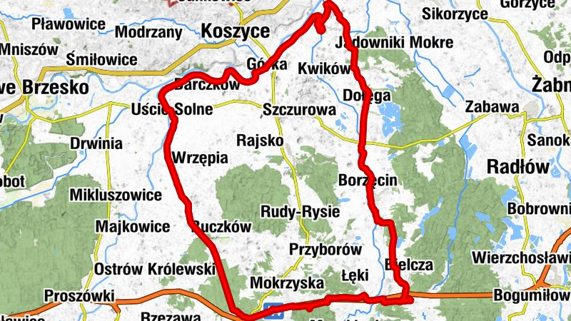 Kościół Matki Bożej Anielskiej w Bielczy - Kościół Nawiedzenia Najświętszej Maryi Panny w Zaborowie - Kościół Chrystusa Króla Wszechświata w Woli Przemykowskiej - Wokowice