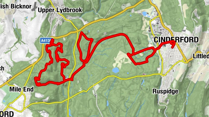 lotus - Sallowvallets Inclosure - Wimberry Quarries - Cinderford