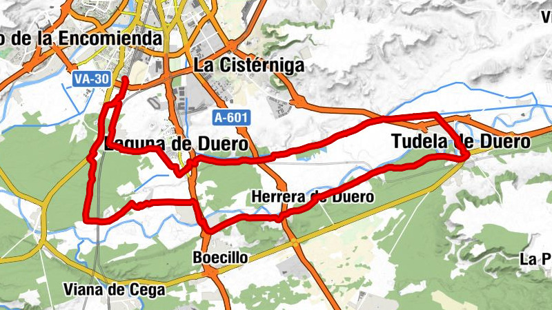 El Pinar - Mesón Castellano 2,39 - Iglesia de Nuestra Señora de la Asunción - Selvático