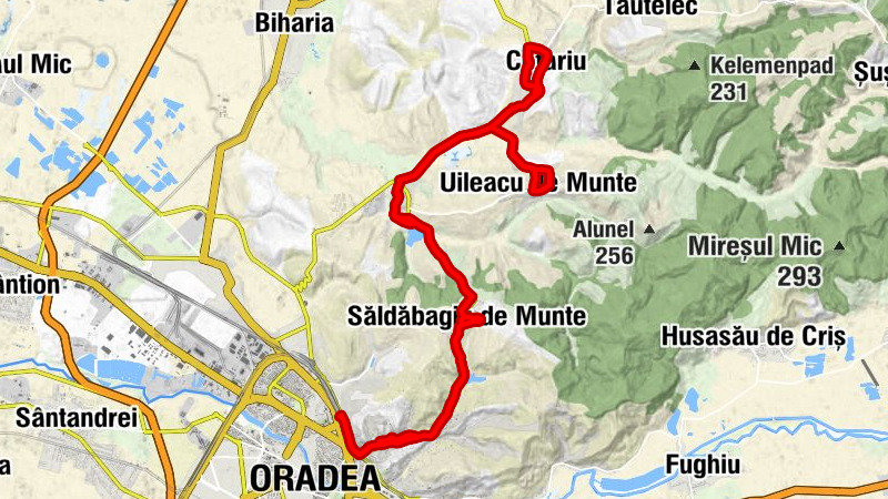 Oradea - Săldăbagiu de Munte - Nepomuki Szent János-templom