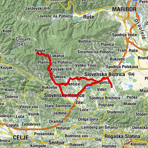 Slovenska Bistrica - Gostilnica Polenta - Pri Janezu