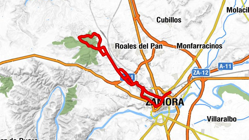 Zamora - Cristo de Valderrey - Los Almendros