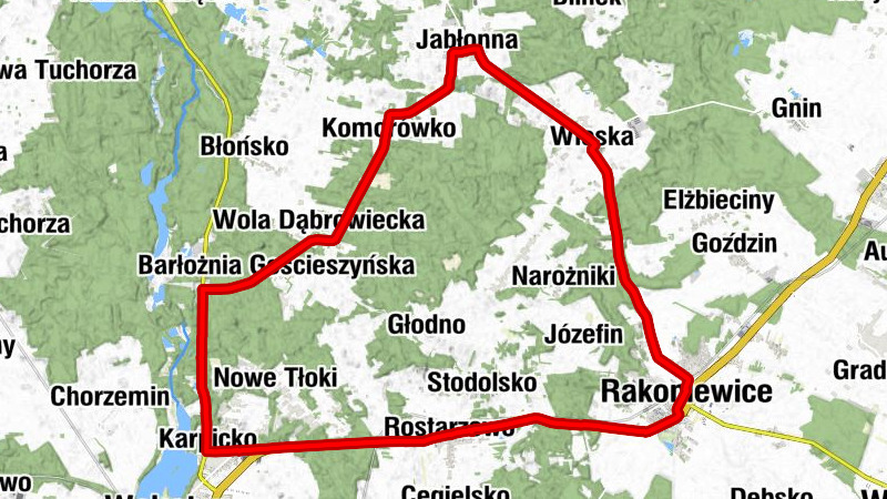 Rostarzewo - Rakoniewice - Kościół pw. świętego Marcina i świętego Stanisława Biskupa - Kościół pw. świętego Józefa