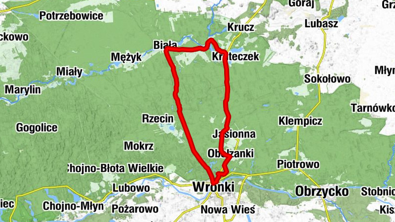 powiat czarnkowsko-trzcianecki - Wronki - Kościół pw. Matki Boskiej Różańcowej - Gniewomierz