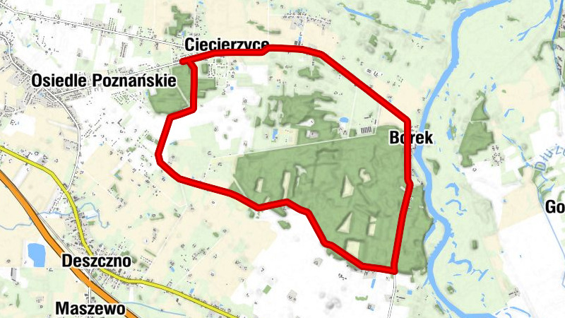 powiat gorzowski - Borek - Ciecierzyce - Kościół filialny pw. Matki Bożej Różańcowej w Ciecierzycach