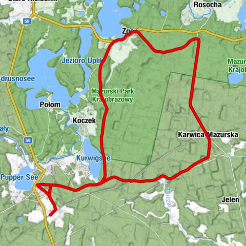 Spychowo - Kurka wodna - Zgon