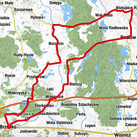 Kościół Najświętszej Maryi Panny Częstochowskiej w Biskupicach Radłowskich - Kościół pw. Trójcy Przenajświętszej w Zabawie - Kościół pw. Świętego Stanisława Biskupa i Męczennika w Szczepanowie - Kaplica św. Stanisława w Szczepanowie