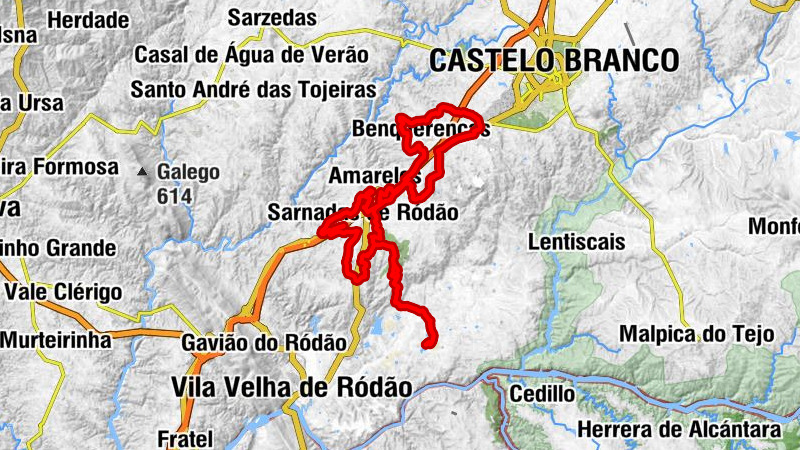 Sarnadas de Ródão - Rodeios - Amarelos - Benquerenças