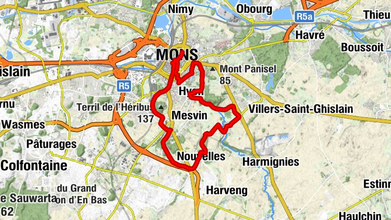 Église Sainte-Élisabeth - Église Sainte-Waudru - Église Saint-Brice - Église Saint-Martin