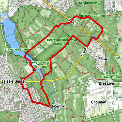 Zalesie Górne - Piaseczno - Nowinki - Wyżyny