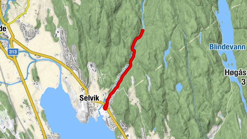 Holmestrand - Selvik
