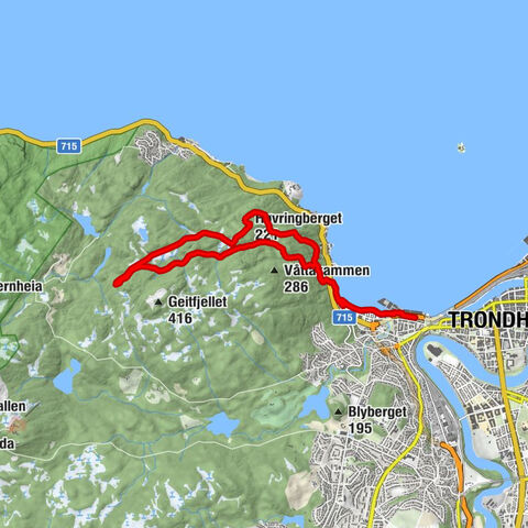 Trondheim - Høvringberget - Skardhaugen - Ila