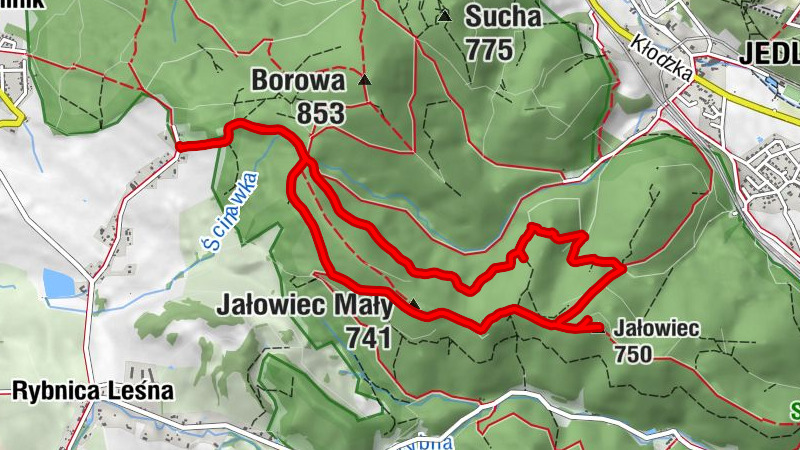 Jedlina-Zdrój - Źródło Ścinawki - Jałowiec Mały - Jałowiec