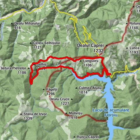 Bulz - Pipirigele - Selhiș - Macroregiunea Unu