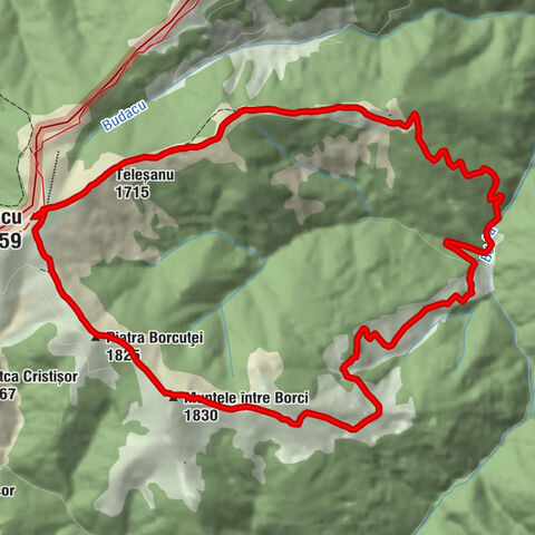 Borca - Budacu - Piatra Borcuței - Muntele între Borci