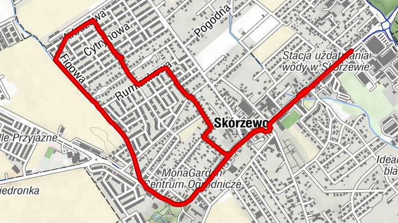 Skórzewo - Kościół pw. św. Marcina i Wincentego