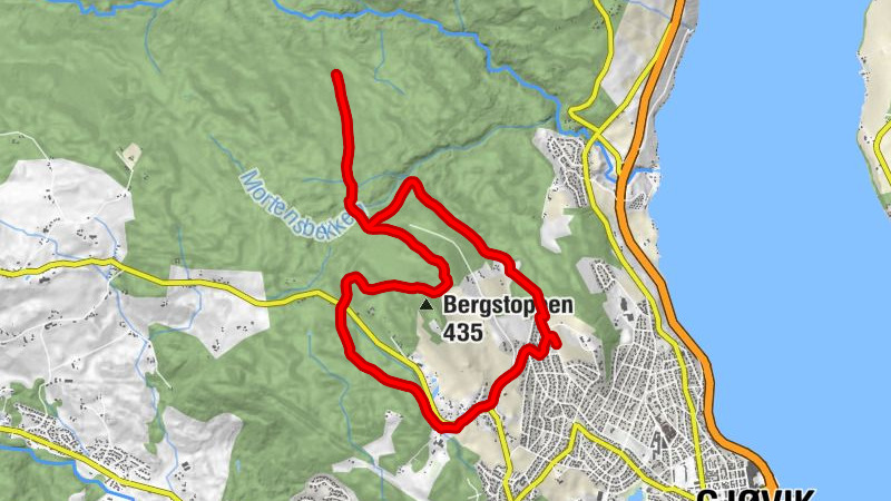 Gjøvik - Bergstoppen - Tranbergrønningen