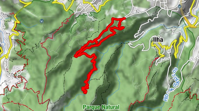 Levada do Rei ins Tal des Ribeiro Bonito