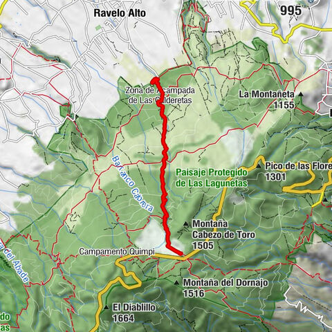 Erfrischender Waldspaziergang nahe Tacoronte