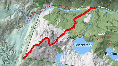 Buer-Reinanuten