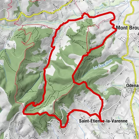 Nordic Walking in den Heidelandschaften - Saint-Etienne-la-Varenne - Beaujolais