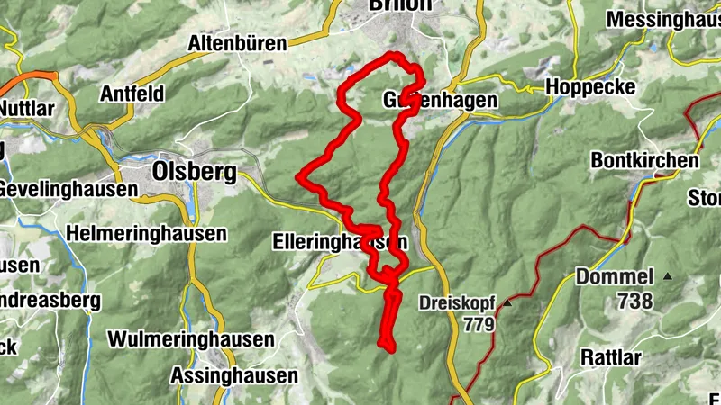 Borberg und Feuereiche