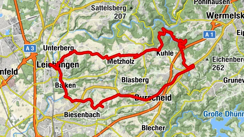 100 % Bergisch Pur