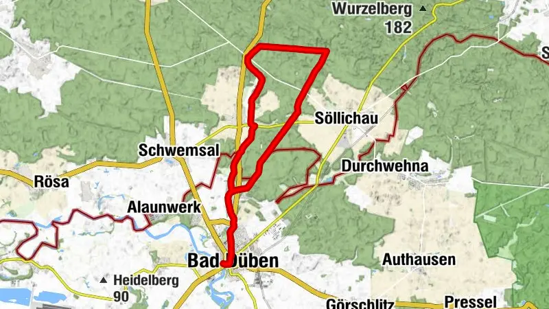 Rowenas Tipp "20 km Radrundweg durch die Dübener Heide"