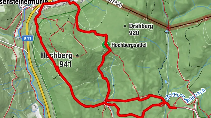 Urwaldrelikte im Norden des Nationalparks