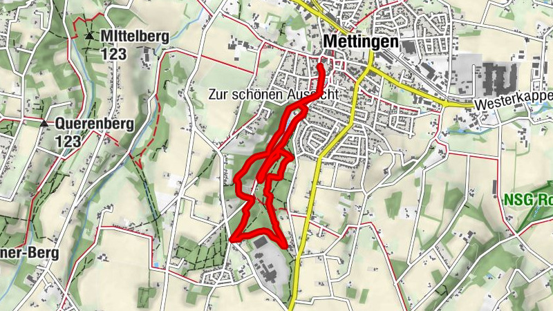 Teutoschleifchen Köllbachtal