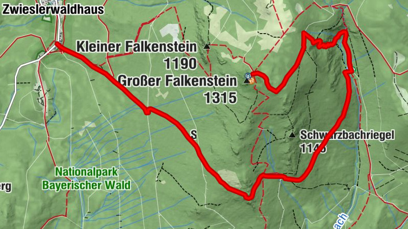 Wanderlinie Heidelbeere (Zwieslerwaldhaus - Großer Falkenstein)