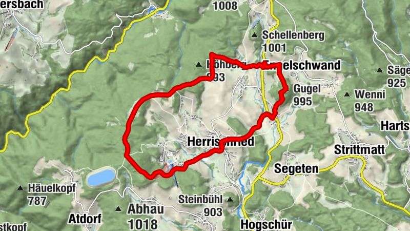 Herrischried: Große Rundwanderung zum Gugelturm