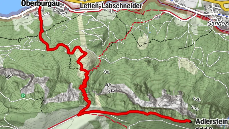 Adlerstein