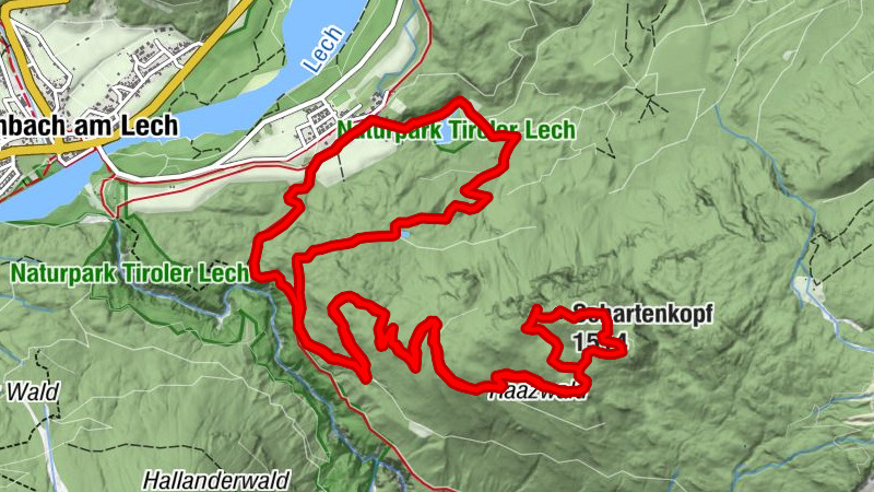 Aufstieg zum Schartenkopf (1514m) | Auch Forstwege können einen zum Gipfelglück führen