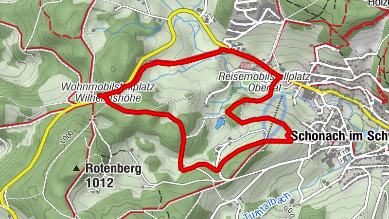 Auf vier Pfoten durch Schonach