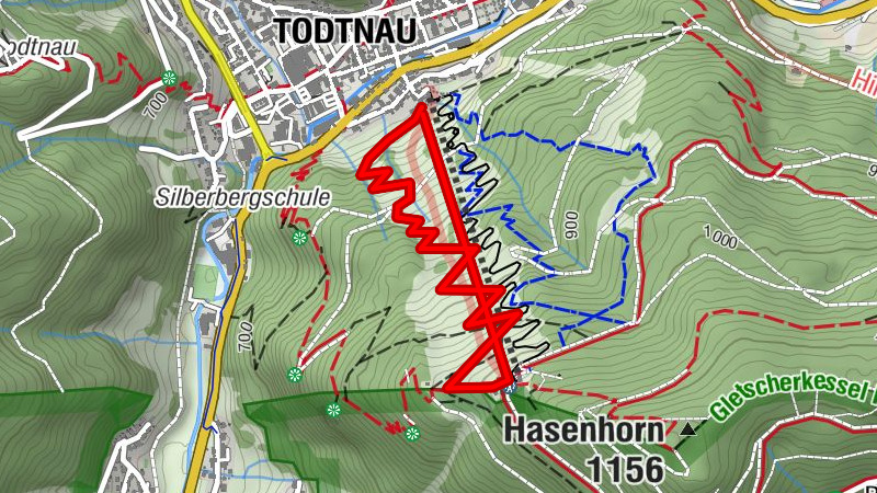 Kleine Skitour zum Todtnauer Hausberg