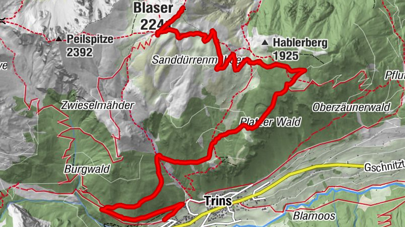 Trins  auf den Blaser