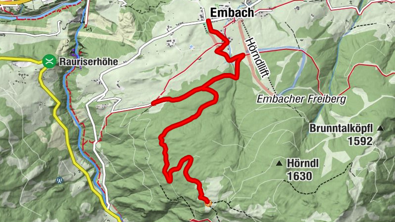 Mountainbiketour zur Kapelleralm ab Embach auf 1.510 m