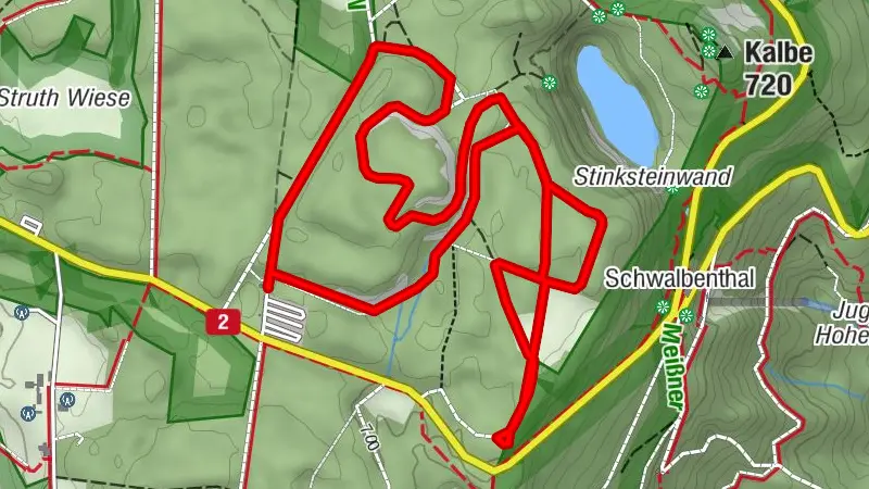 Skating-Loipe mit paralleler klassischer Loipe