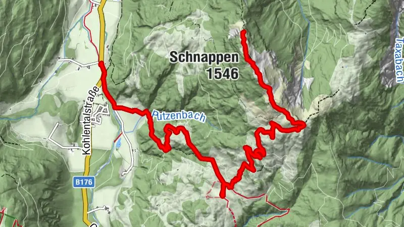 Stubenalm - Schnappenstein
