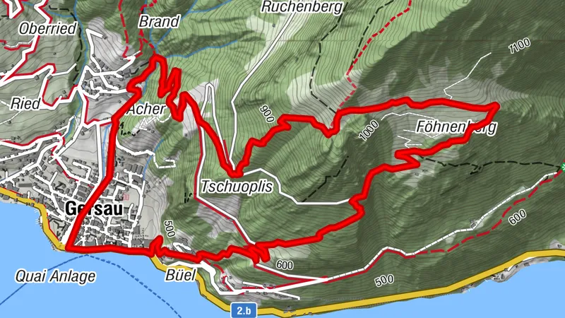 Gersau-Föhnenbergen-Ochsenalp-Gersau