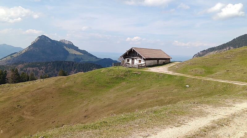 Karte