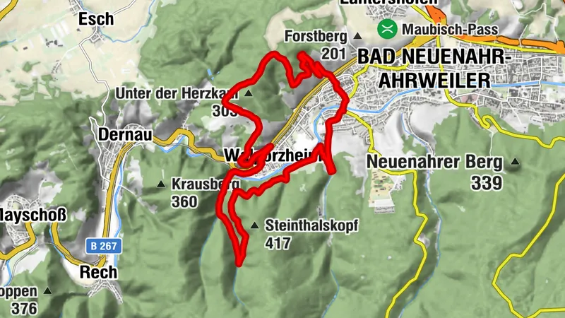 AhrSchleife WeinBergBlicke