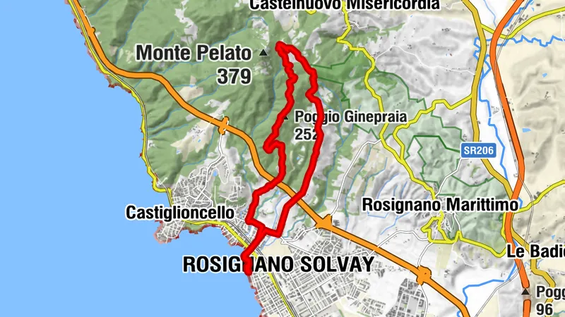 Rosignano Solvay, Toscana/Italia pel del lupo - poggio Ginepraia