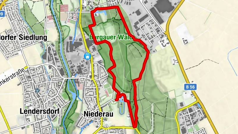 Düren: Große Runde durch den Wald von Schloss Burgau