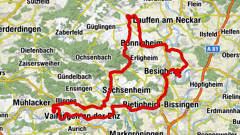 Rennrad & Wein - alkoholfrei durch die Weinberge